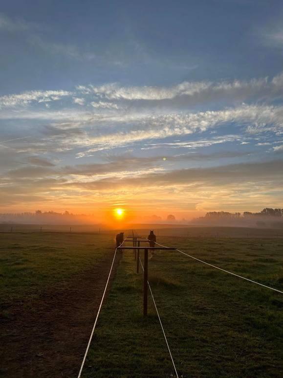 Morgensol stiger op over en tåget mark med en elektrisk ledning i forgrunden.