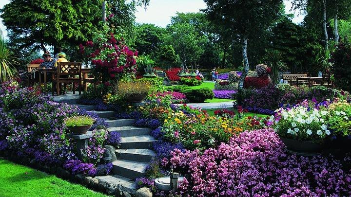 En smuk have med farverige blomster, stier af sten og træmøbler til afslapning i solen.