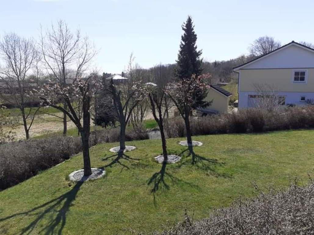 En solrig have med blomstrende træer og en gul bygning i baggrunden, omgivet af grøn græsplæne.