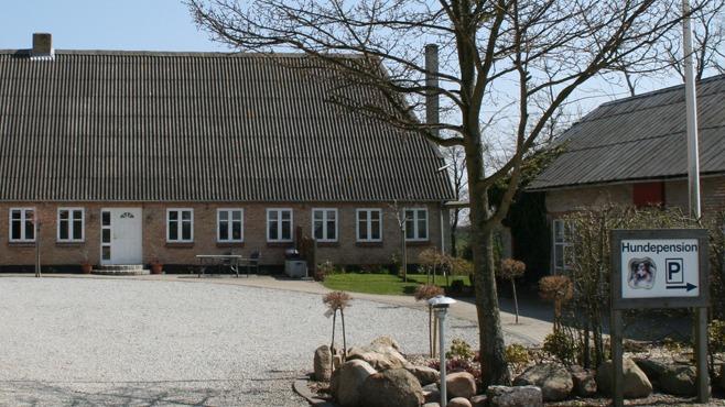 En gård med en stor bygning og en parkeringsplads, omgivet af træer og sten i forgrunden.