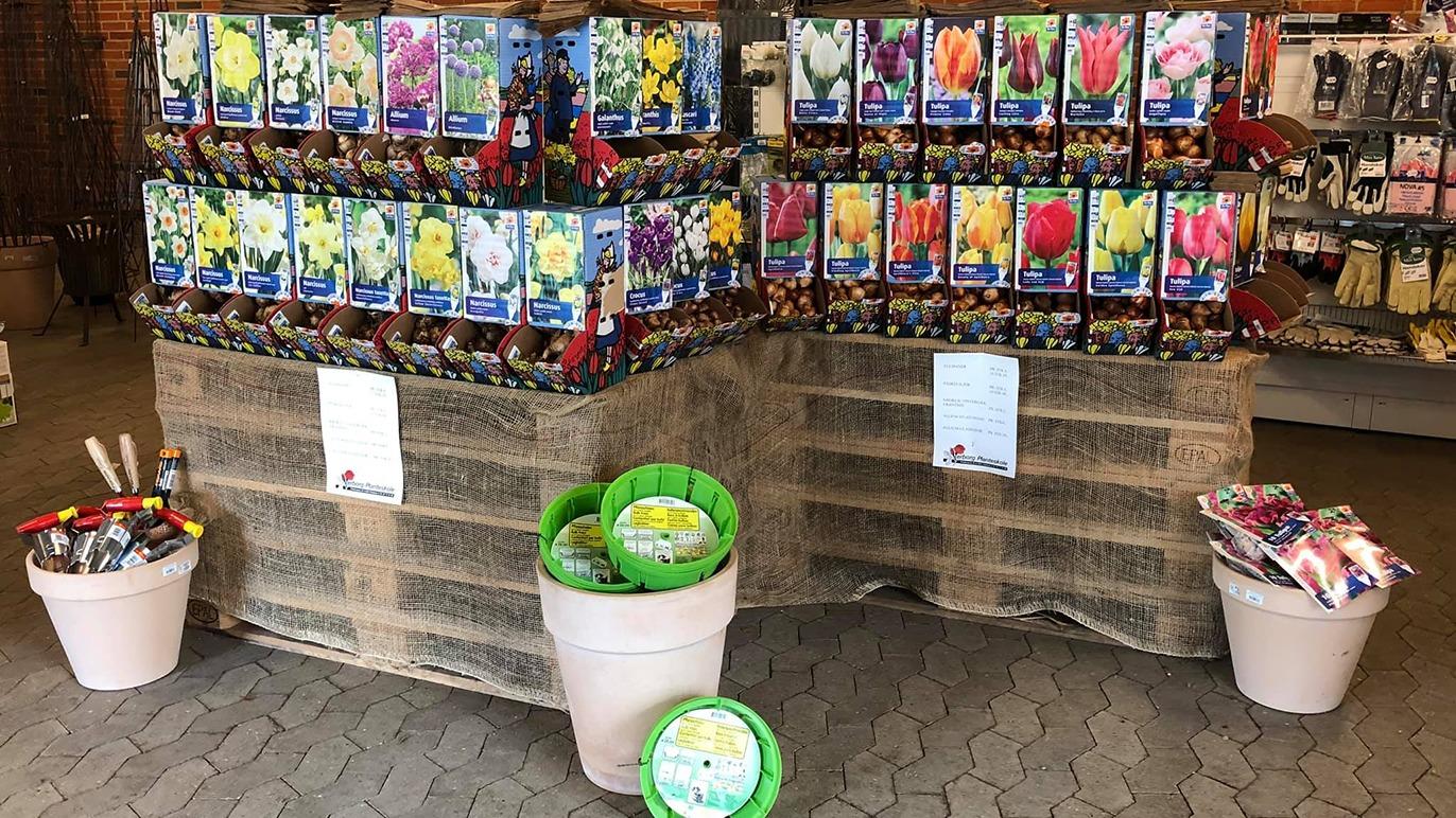 Farverige blomsterløg og haveværktøj præsenteret i en butik med potter og kasser.
