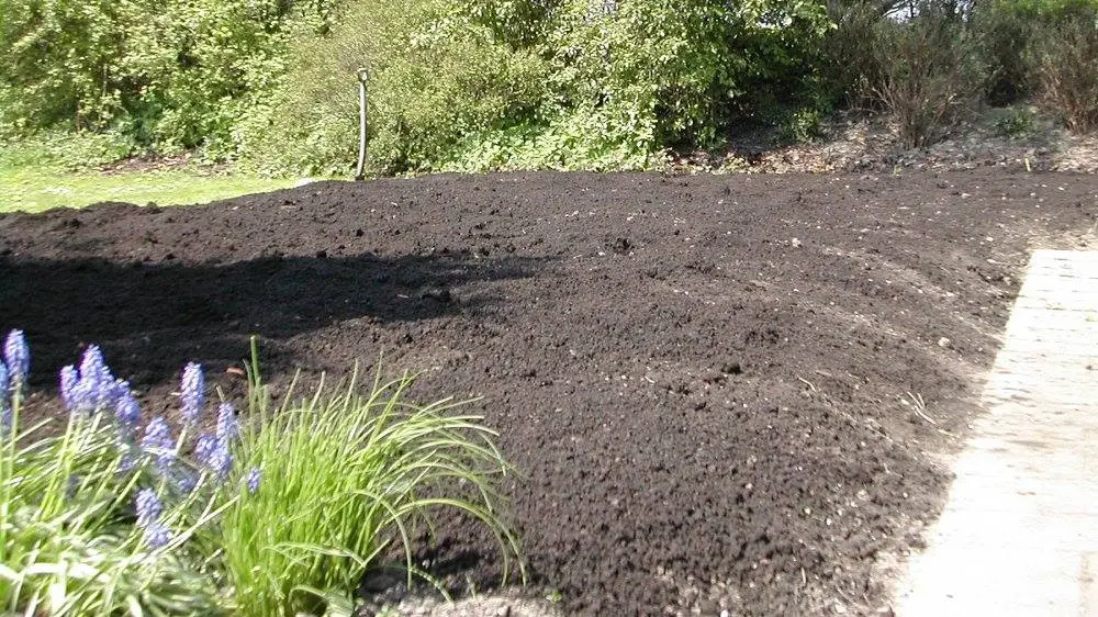 En nybearbejdet havegrund med mørk jord og grønne planter i forgrunden.