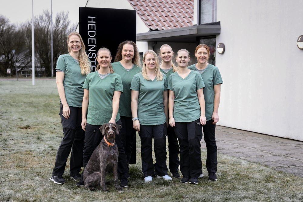 Syv kvinder i grønne t-shirts står foran en bygning med en hund, der sidder foran dem på græsset.
