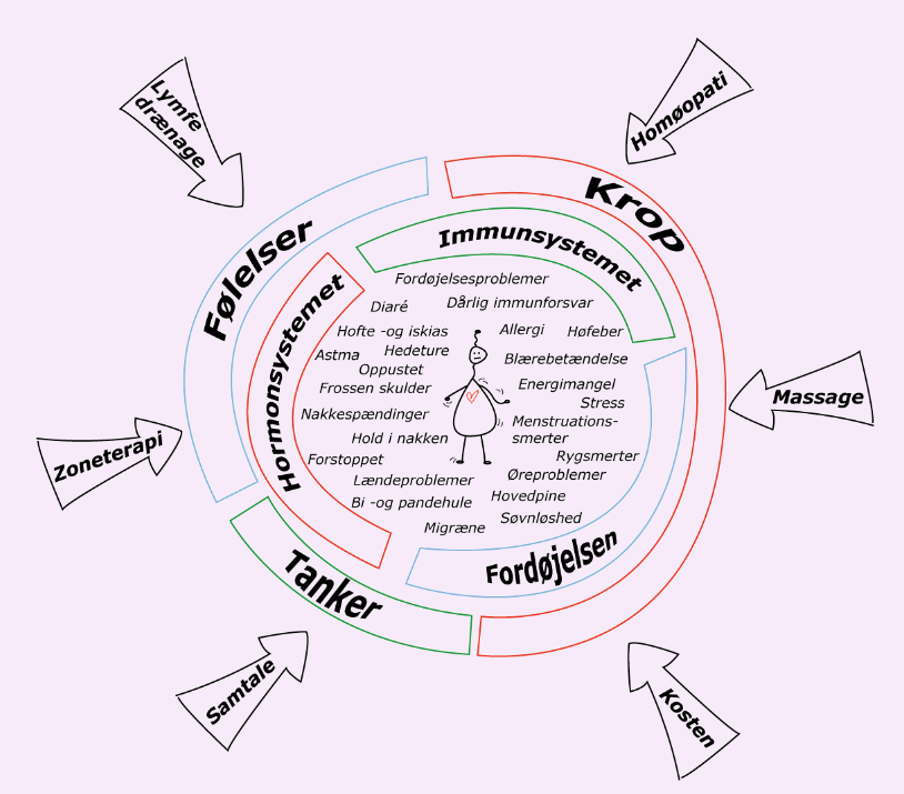 Diagram der viser sammenhængen mellem krop, følelser, tanker, immunforsvar, fordøjelse, zoneterapi, massage og homøopati.