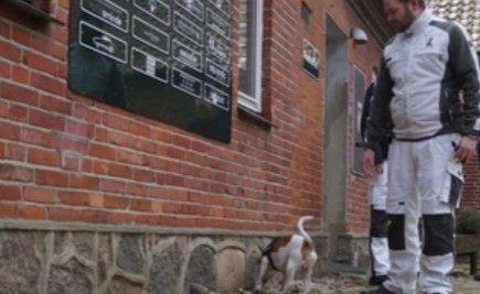 En mand i arbejdstøj står ved en murstensvæg, mens en hund snuser ved en sten.