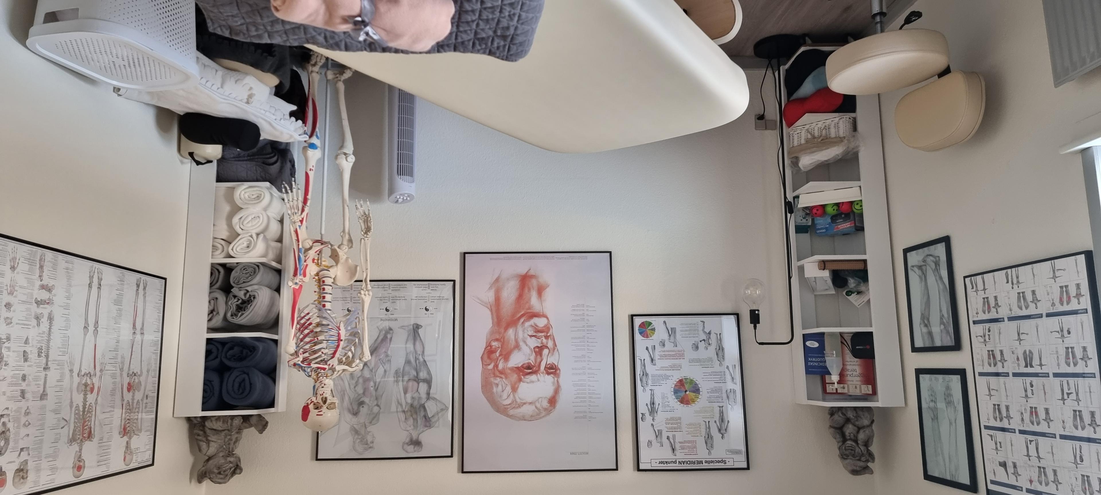 Et medicinsk kontor med anatomiske plakater, en seng og opbevaringsskabe til udstyr.