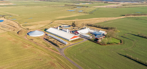 Luftfoto af en gård med bygninger og marker, omgivet af grønne områder og vandpytter.
