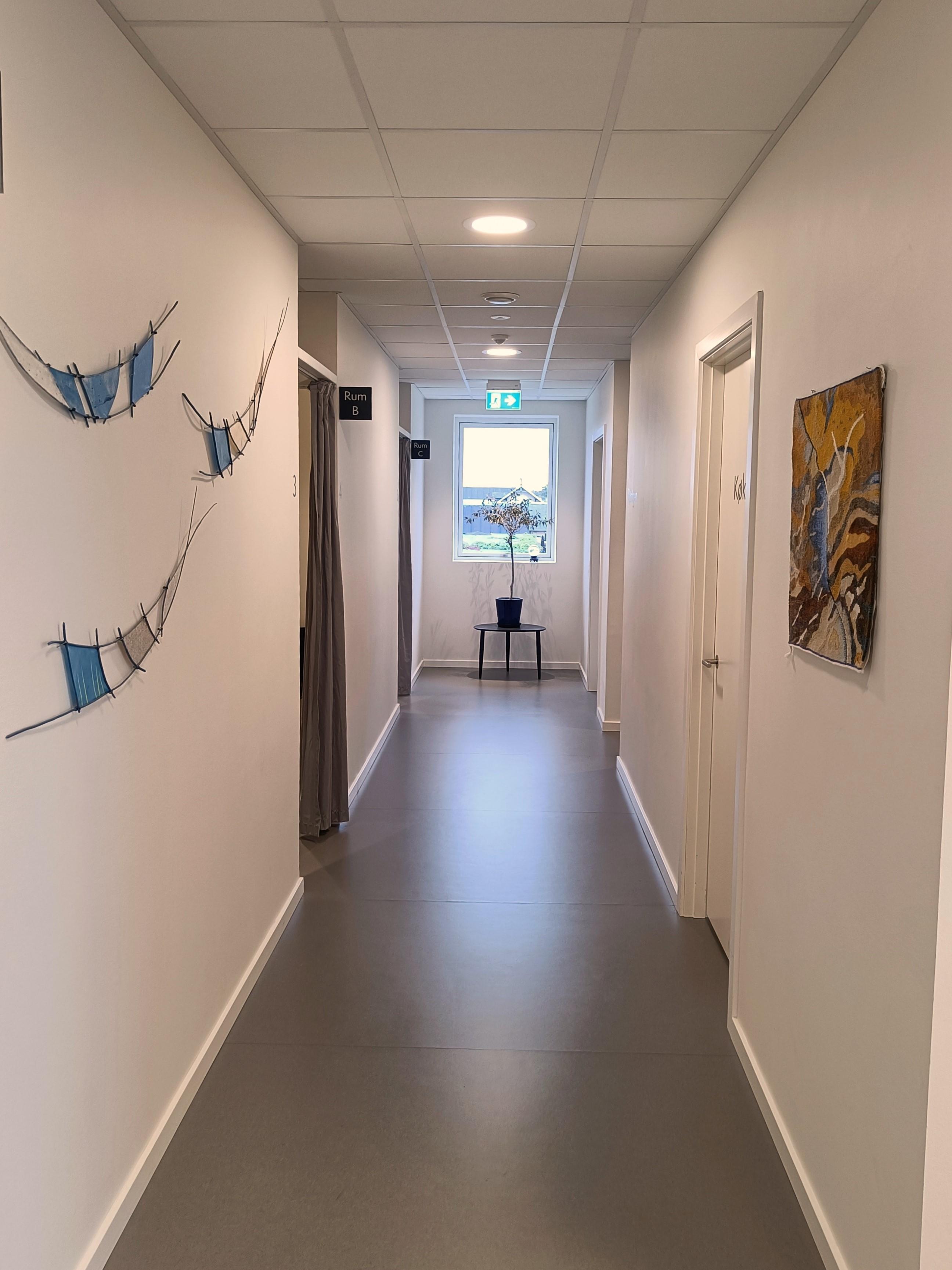 En lys gang med hvide vægge, en plante i en potte og kunstværker på væggene.