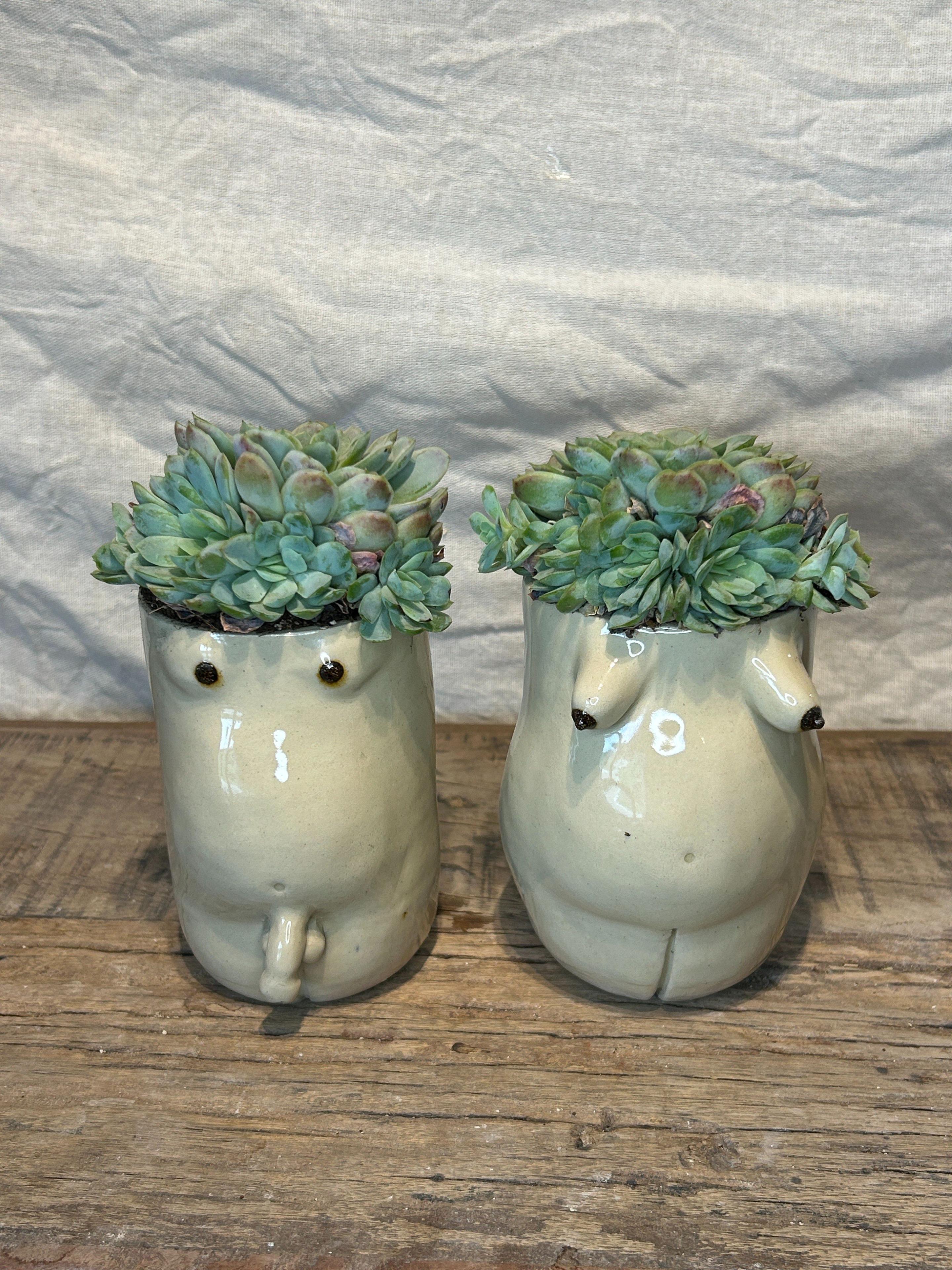 To små keramiske potter formet som dyr med sukkulenter som planter i toppen.