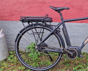 En sort cykel med bagagebærer står ved en rød væg, omgivet af grønne planter og græs.