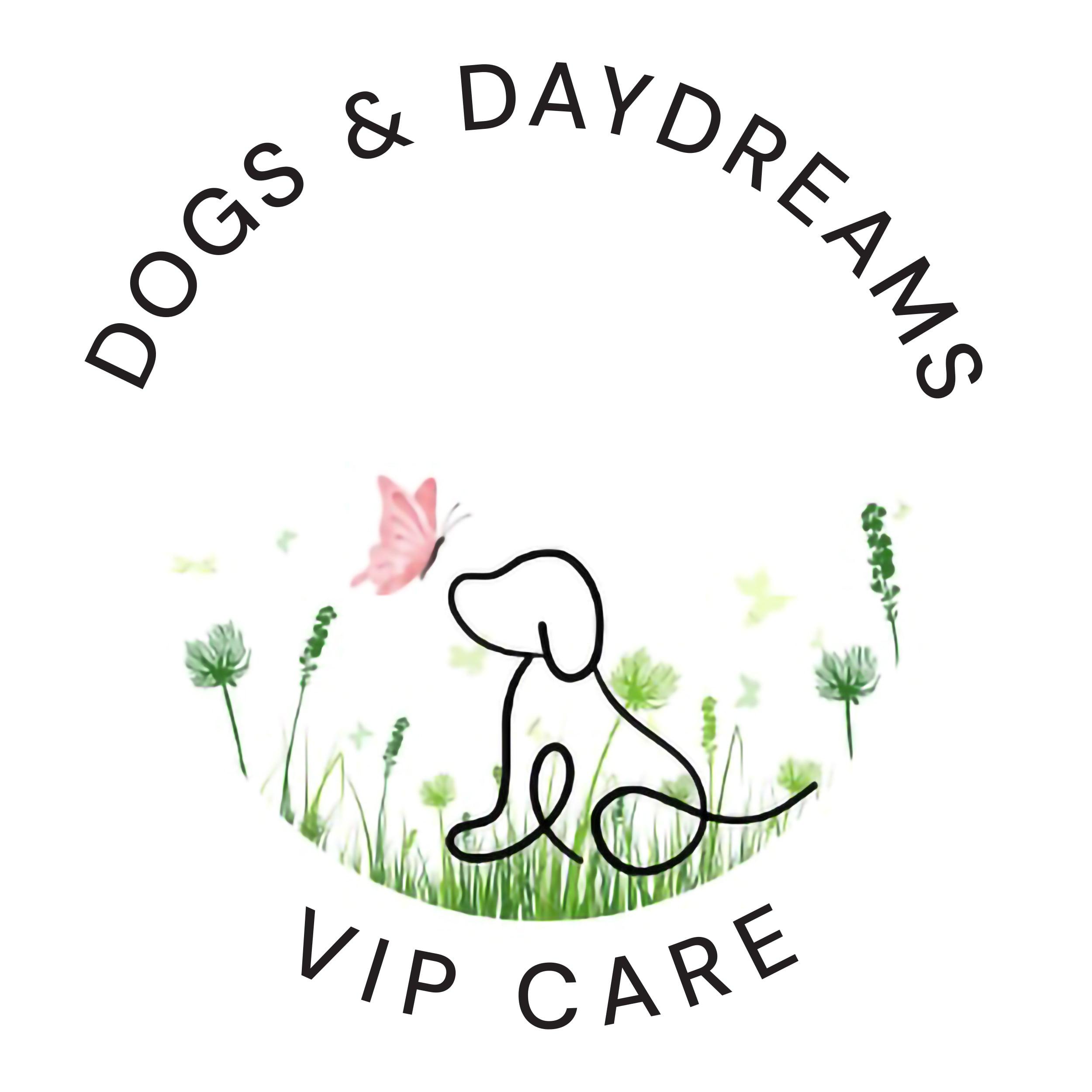 Dogs & Daydreams