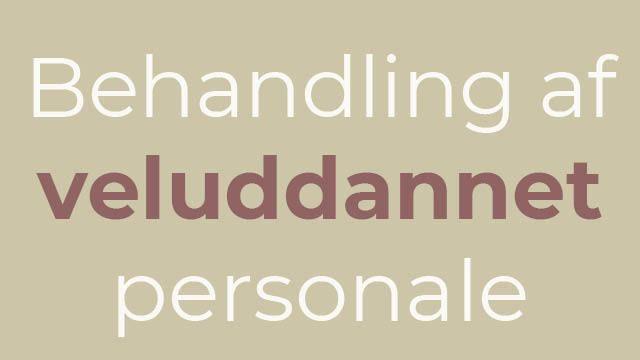 Behandling af veluddannet personale med fokus på professionel udvikling og kompetenceopbygning.