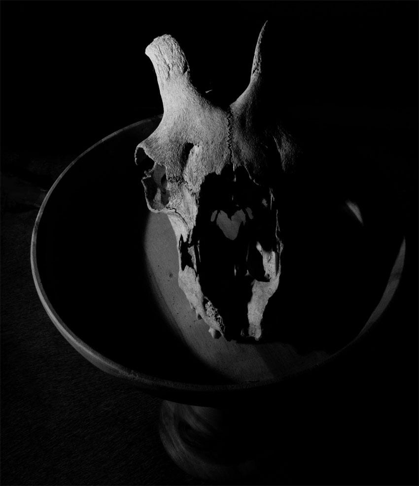 Dark-Light-Photography