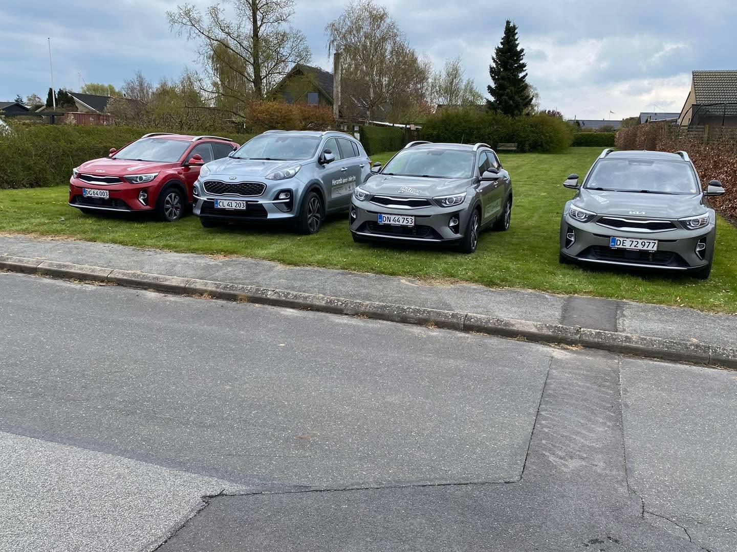 Fire biler parkeret på en græsplæne ved vejen, herunder en rød SUV og tre grå biler.