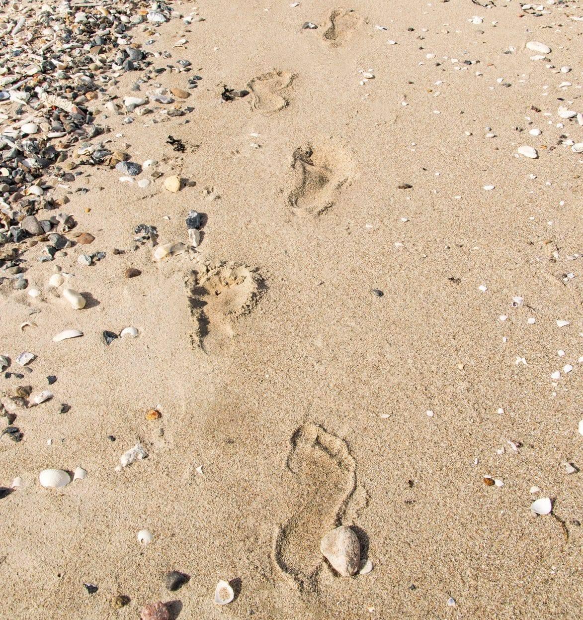 Fodspor i sandet på en strand med muslingeskaller og småsten i baggrunden.