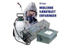 Bekæmpelse af muldvarpe Søgeord