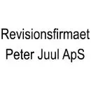 Revisionsfirmaet Peter Juul ApS