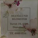 Dianalund Blomster logo