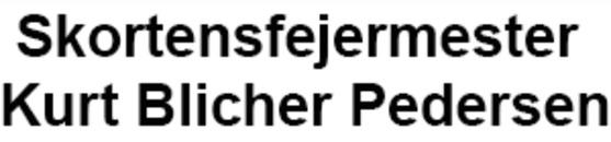 Blichers Skorstensforing logo
