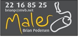 Brian Pedersen logo