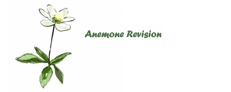 Anemone Revision ApS