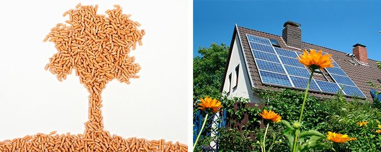 Bioenergi Rådgivning v/ Ib Frederiksen