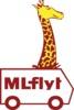 ML FLYT logo