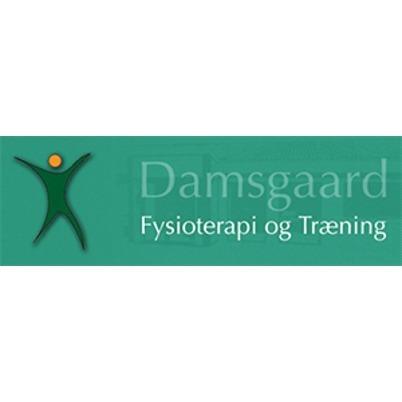 Damsgaard Fysioterapi & Træning logo
