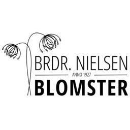 Brdr. Nielsen Blomster logo