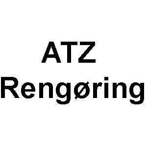 ATZ Service logo