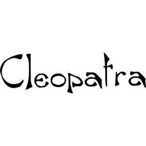 Cleopatra Bo Larsen logo