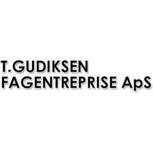 T. Gudiksen Fagentreprise ApS logo